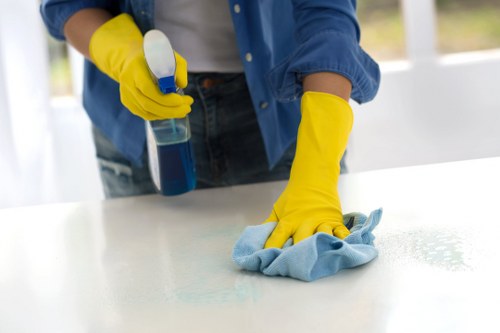 Deep cleaning equipment used for pet odour removal in Brompton